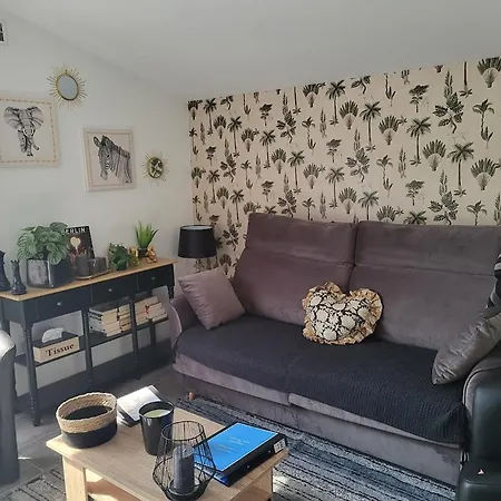 Studio_en_roussillon דירה